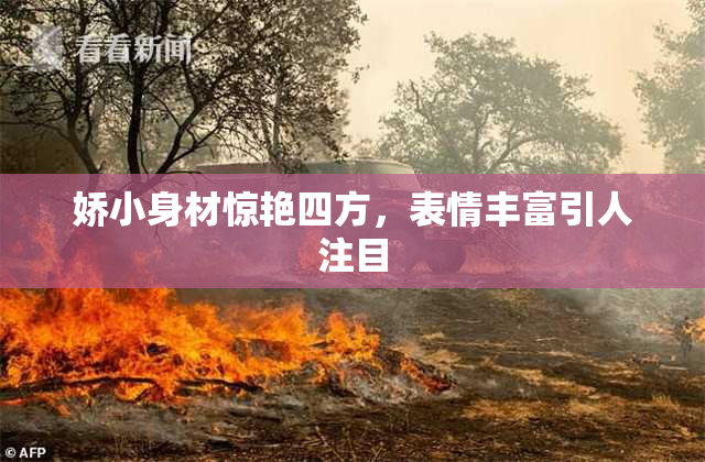 娇小身材惊艳四方，表情丰富引人注目