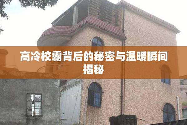 高冷校霸背后的秘密与温暖瞬间揭秘
