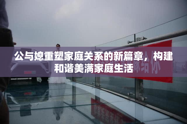 公与媳重塑家庭关系的新篇章，构建和谐美满家庭生活