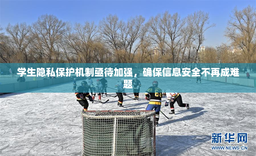 学生隐私保护机制亟待加强，确保信息安全不再成难题