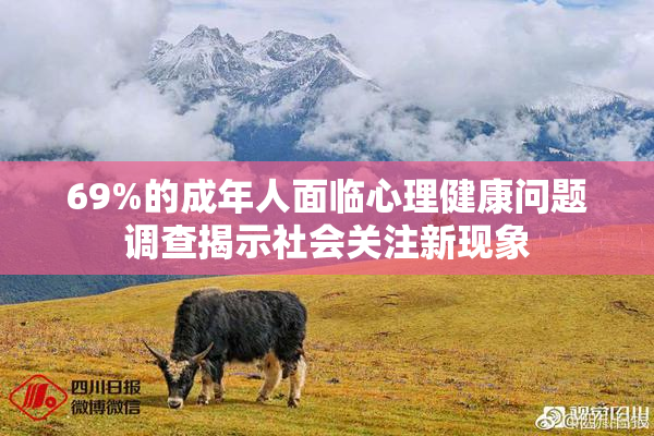 69%的成年人面临心理健康问题调查揭示社会关注新现象