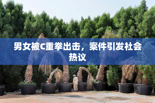 男女被C重拳出击，案件引发社会热议