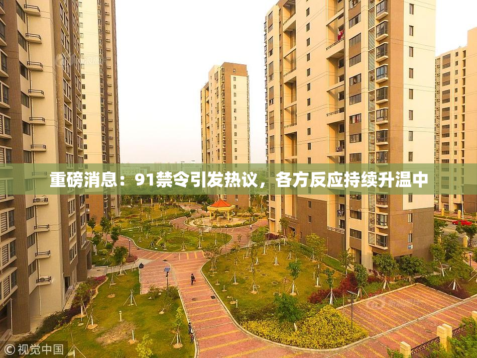 重磅消息：91禁令引发热议，各方反应持续升温中