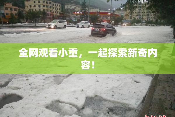 全网观看小重，一起探索新奇内容！