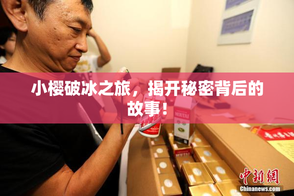 小樱破冰之旅，揭开秘密背后的故事！