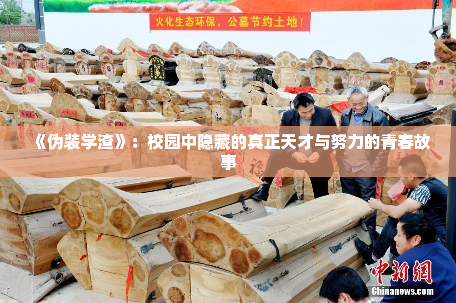 《伪装学渣》：校园中隐藏的真正天才与努力的青春故事