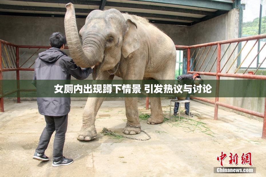 女厕内出现蹲下情景 引发热议与讨论