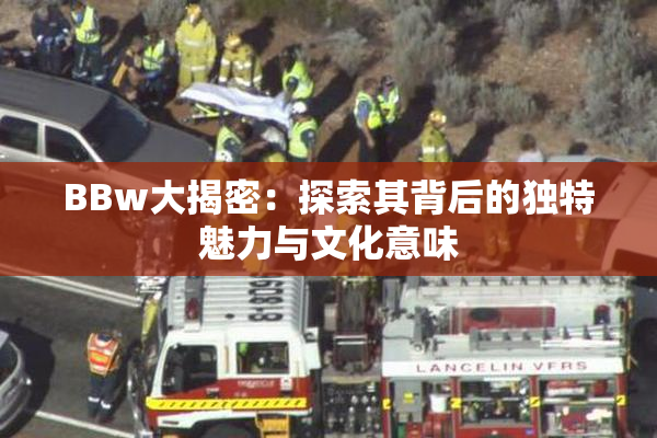 BBw大揭密：探索其背后的独特魅力与文化意味
