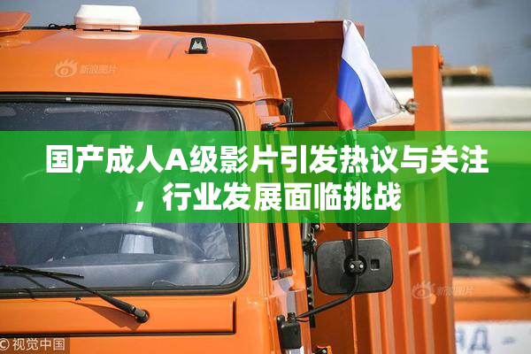 国产成人A级影片引发热议与关注，行业发展面临挑战