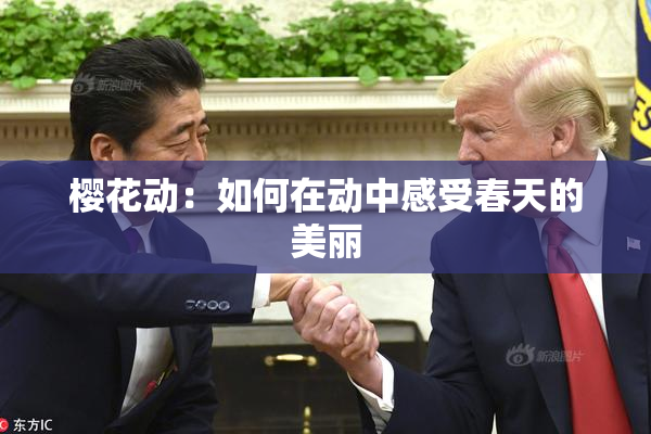 樱花动：如何在动中感受春天的美丽