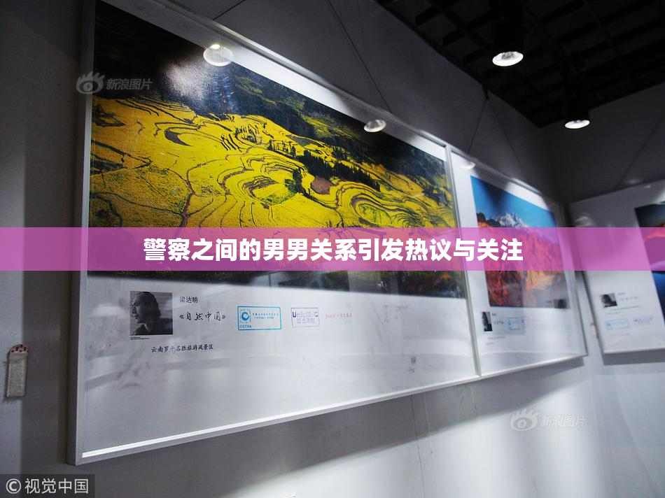 警察之间的男男关系引发热议与关注