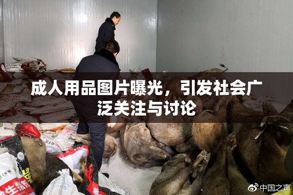 成人用品图片曝光，引发社会广泛关注与讨论