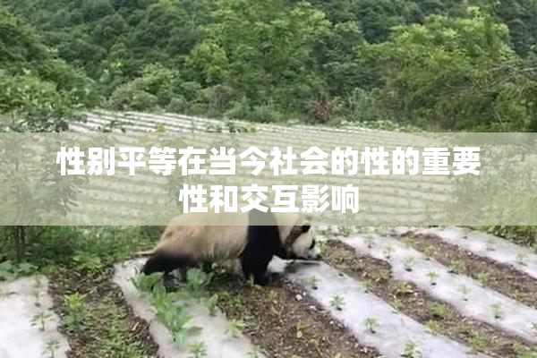 性别平等在当今社会的性的重要性和交互影响