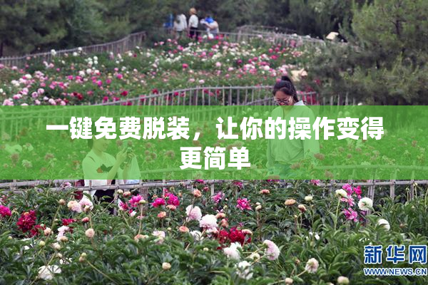 一键免费脱装，让你的操作变得更简单