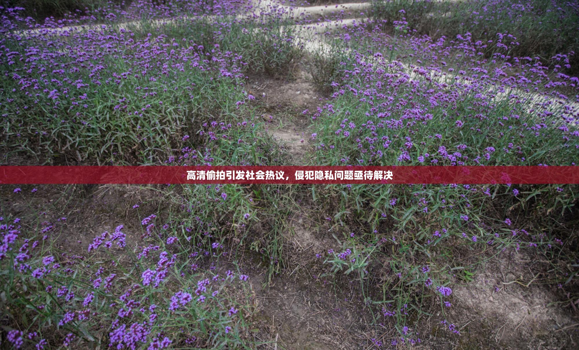 高清偷拍引发社会热议，侵犯隐私问题亟待解决