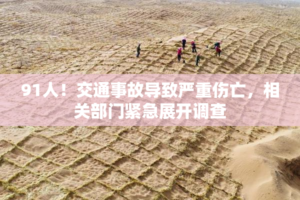 91人！交通事故导致严重伤亡，相关部门紧急展开调查