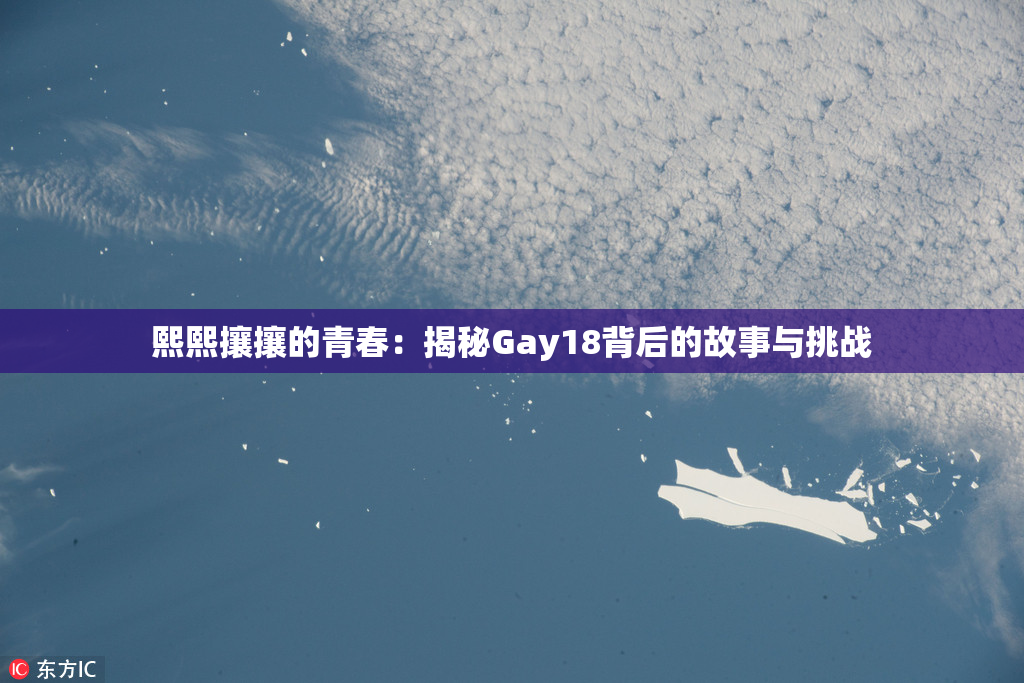 熙熙攘攘的青春：揭秘Gay18背后的故事与挑战