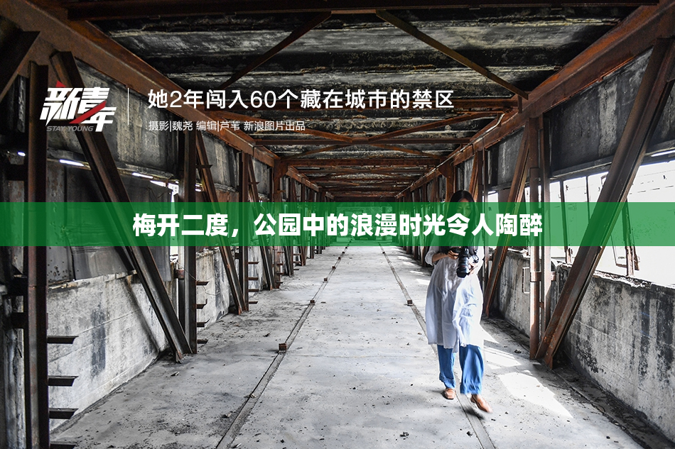 梅开二度，公园中的浪漫时光令人陶醉