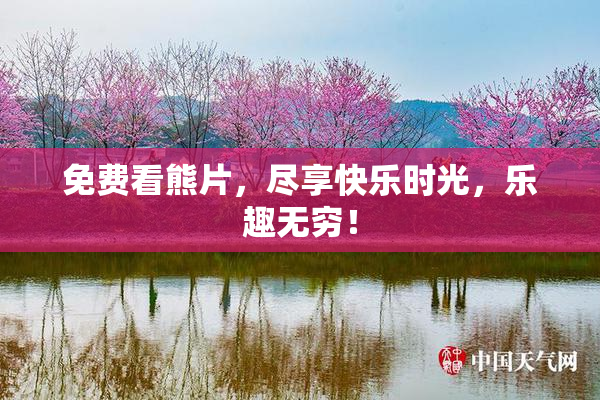 免费看熊片，尽享快乐时光，乐趣无穷！