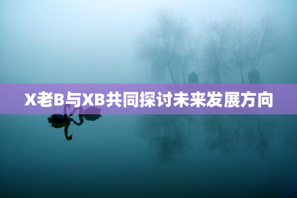 X老B与XB共同探讨未来发展方向