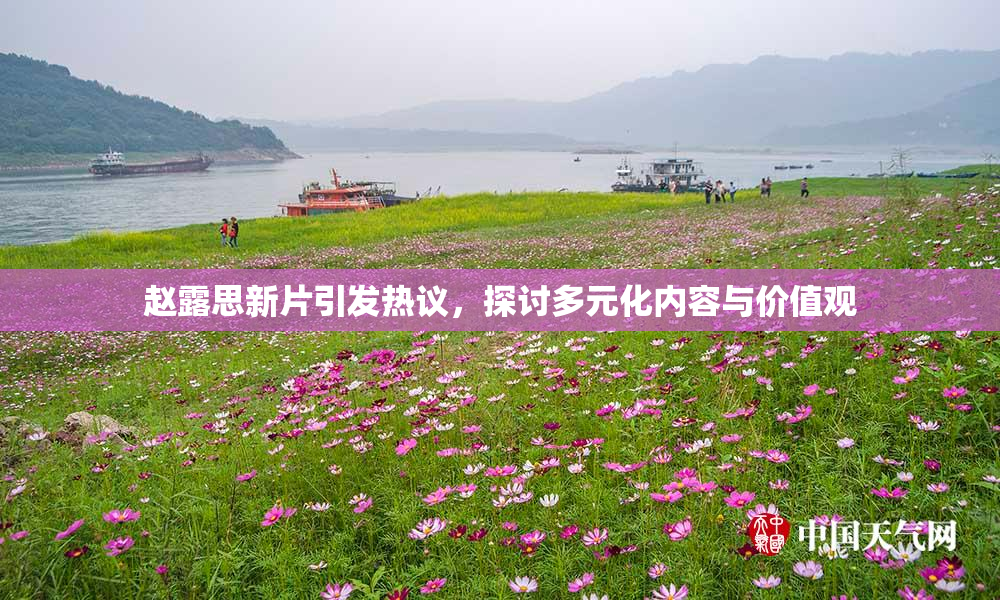 赵露思新片引发热议，探讨多元化内容与价值观