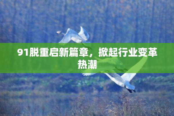 91脱重启新篇章，掀起行业变革热潮