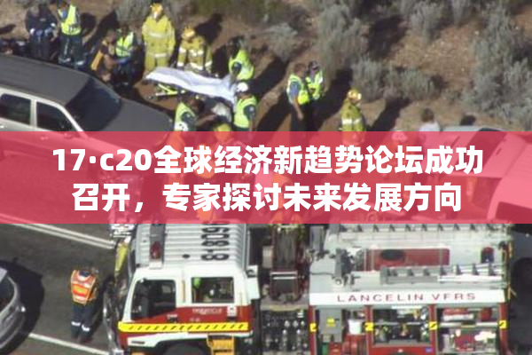 17·c20全球经济新趋势论坛成功召开，专家探讨未来发展方向