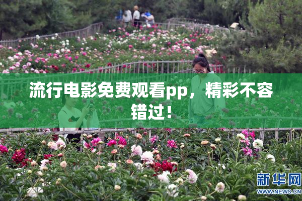 流行电影免费观看pp，精彩不容错过！