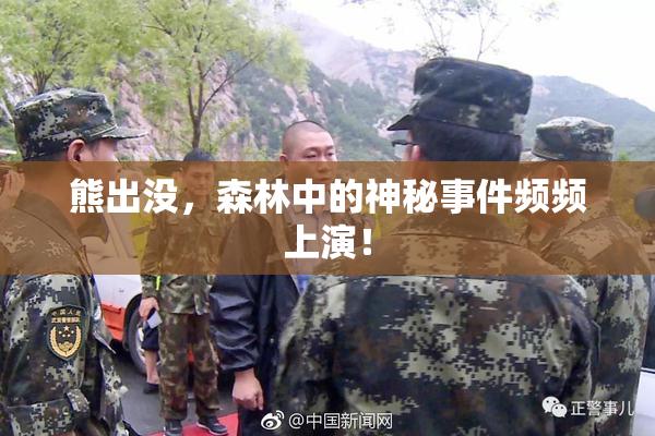 熊出没，森林中的神秘事件频频上演！