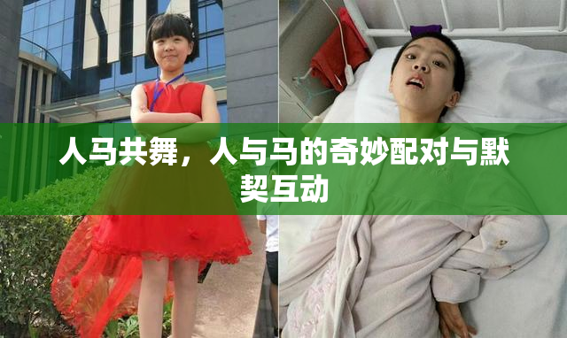 人马共舞，人与马的奇妙配对与默契互动