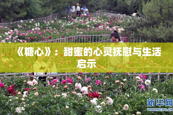 《糖心》：甜蜜的心灵抚慰与生活启示