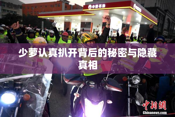 少萝认真扒开背后的秘密与隐藏真相