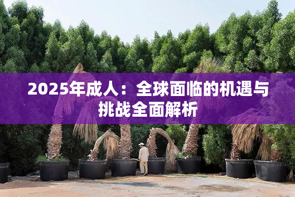 2025年成人：全球面临的机遇与挑战全面解析