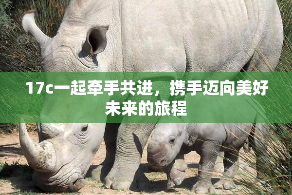 17c一起牵手共进，携手迈向美好未来的旅程