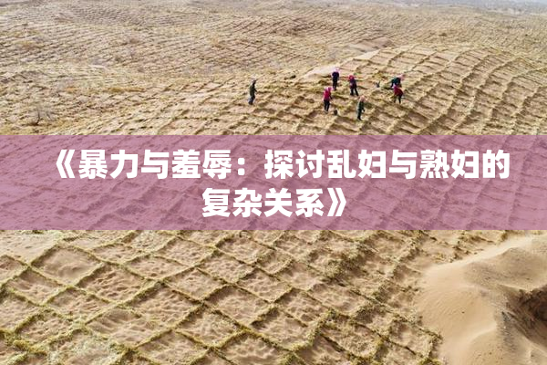 《暴力与羞辱：探讨乱妇与熟妇的复杂关系》