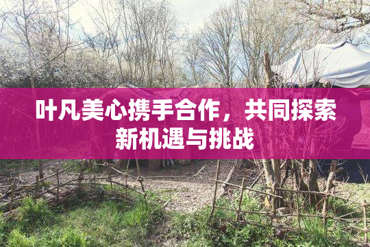 叶凡美心携手合作，共同探索新机遇与挑战