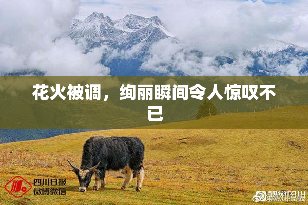 花火被调，绚丽瞬间令人惊叹不已
