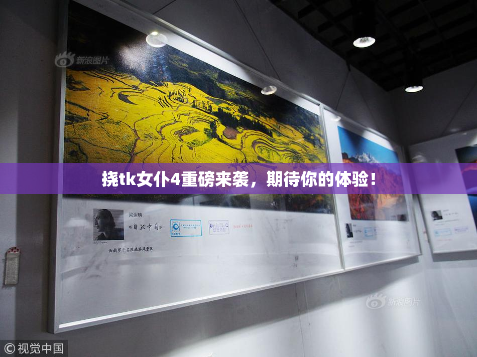 挠tk女仆4重磅来袭，期待你的体验！