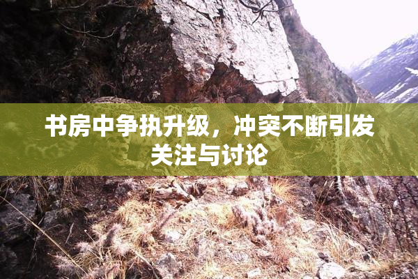书房中争执升级，冲突不断引发关注与讨论