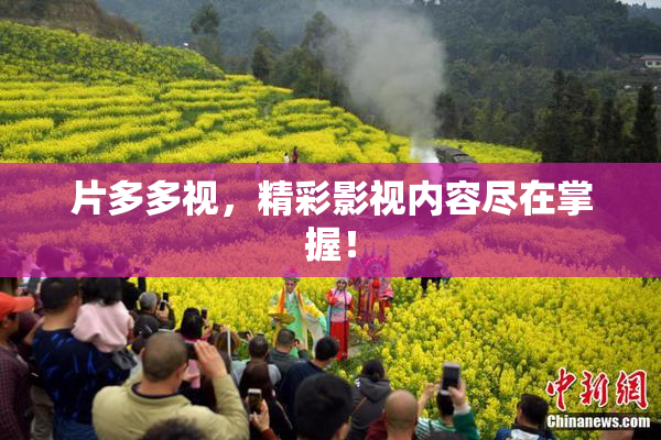片多多视，精彩影视内容尽在掌握！