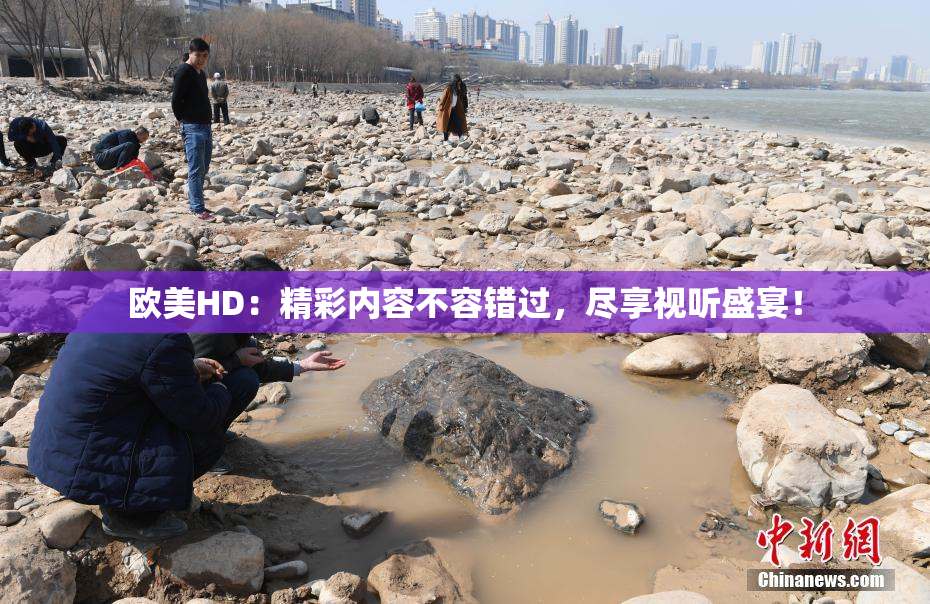 欧美HD：精彩内容不容错过，尽享视听盛宴！