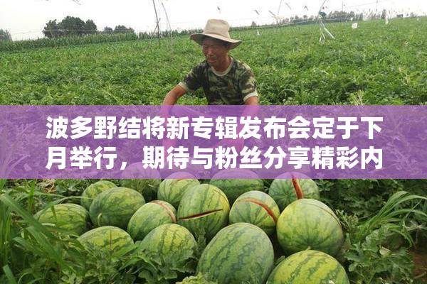 波多野结将新专辑发布会定于下月举行，期待与粉丝分享精彩内容