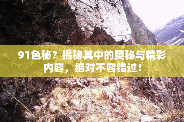 91色秘？揭秘其中的奥秘与精彩内容，绝对不容错过！