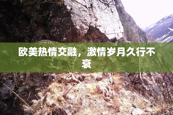 欧美热情交融，激情岁月久行不衰