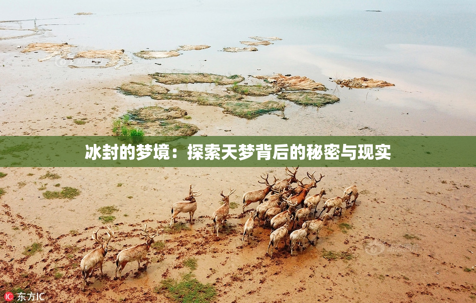 冰封的梦境：探索天梦背后的秘密与现实