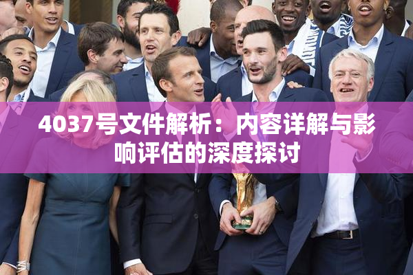 4037号文件解析：内容详解与影响评估的深度探讨