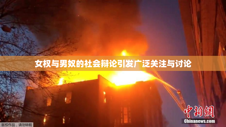 女权与男奴的社会辩论引发广泛关注与讨论