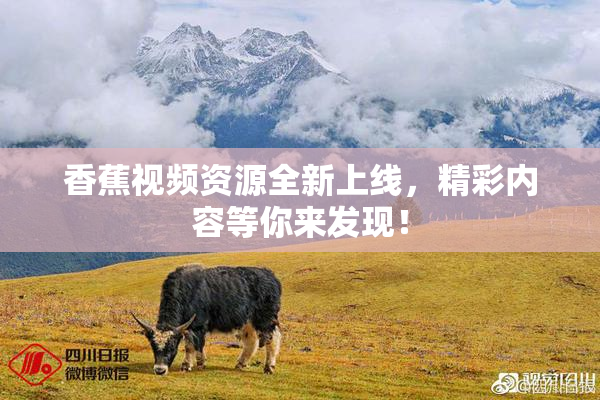 香蕉视频资源全新上线，精彩内容等你来发现！