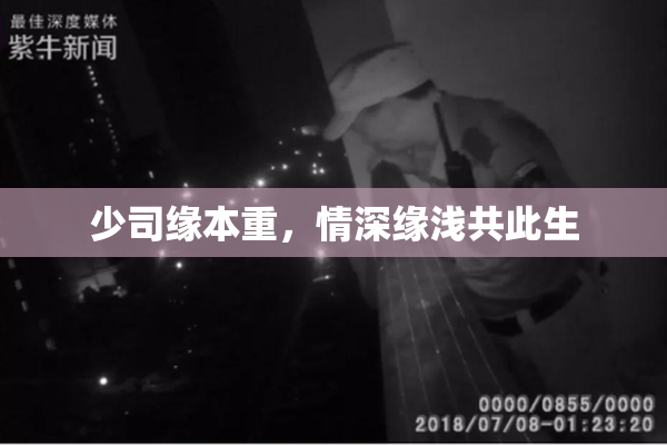 少司缘本重，情深缘浅共此生