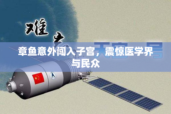 章鱼意外闯入子宫，震惊医学界与民众